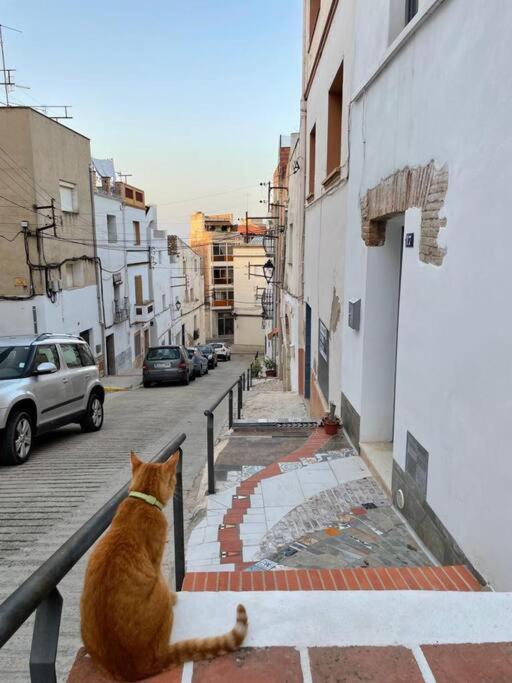 Townhouse - Casa Rustica Entre Mar Y Montana Villa Alcanar Buitenkant foto